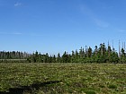 Thumbnail of DSC05322.jpg