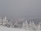 Thumbnail of DSC04206.jpg