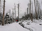 Thumbnail of IMG_20200228_112009.jpg